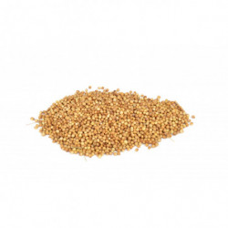 Koriandersamen 100 g