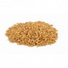 Weyermann® CaraBelge® 30-35 EBC 5 kg 1