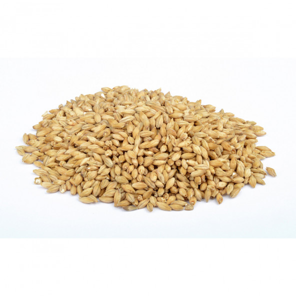Weyermann® BIO pilsner Malz 2,5-5 EBC 25 kg 1