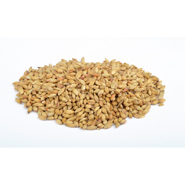 Weyermann® Abbey malt® 40-50 EBC 1 kg 1