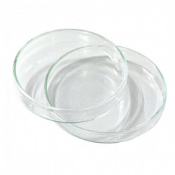 Petrischale Glas 80x15mm