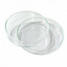 Petrischale Glas 80x15mm 0