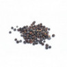 Wacholderbeeren 100 g 0
