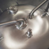 Ss Brewtech™ Pro Jacketed Unitank 7 bbl 7
