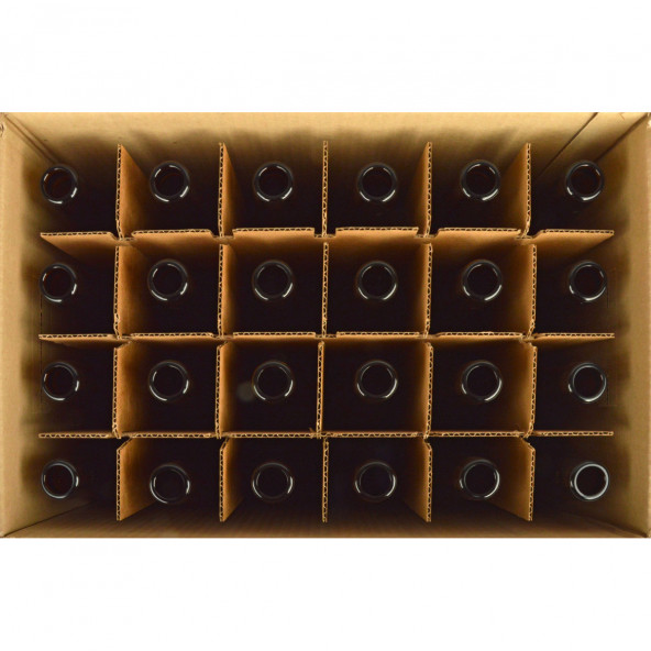 Bierflasche Vichy 33 cl, braun, 26 mm, Karton 24 St. 1