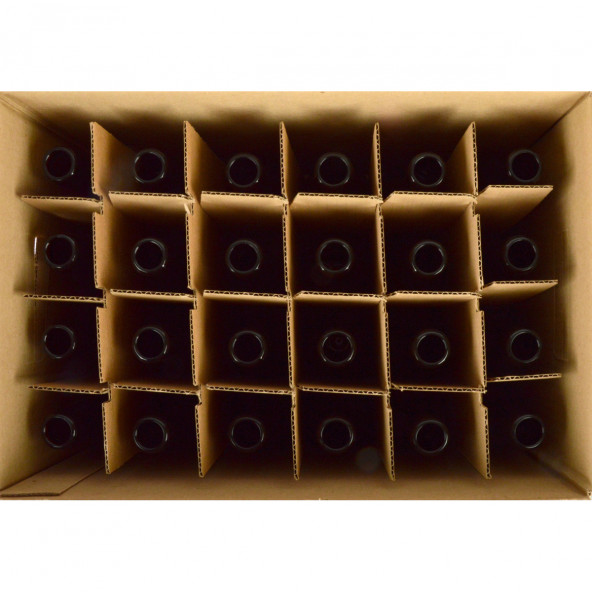Bierflasche Vichy 25 cl, braun, 26 mm, Karton 24 St. 1