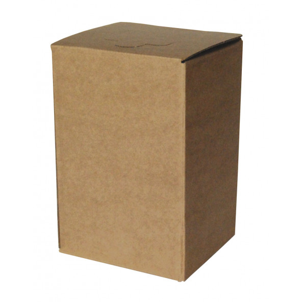 Karton BRAUN für Bag in Box 5 l