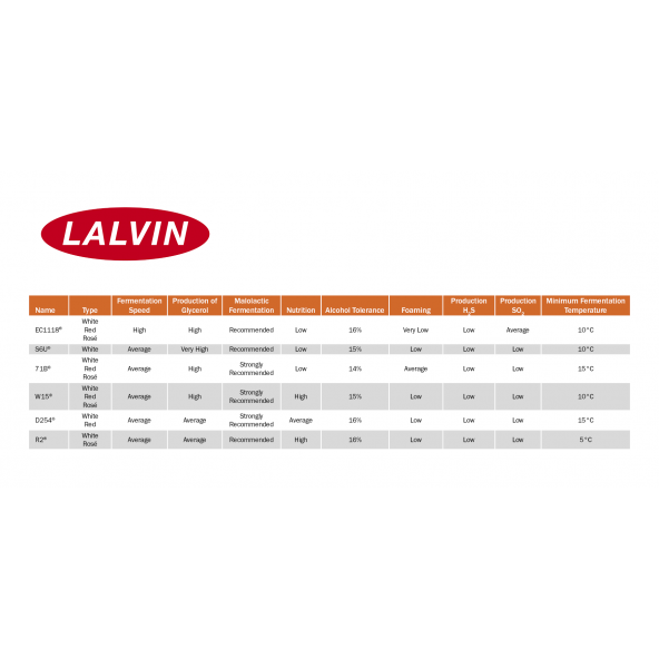 Trockenhefe 71B™ - Lalvin™ - 500 g 1