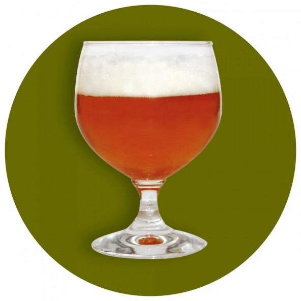 Kingdom Nachfüllset IPA 3