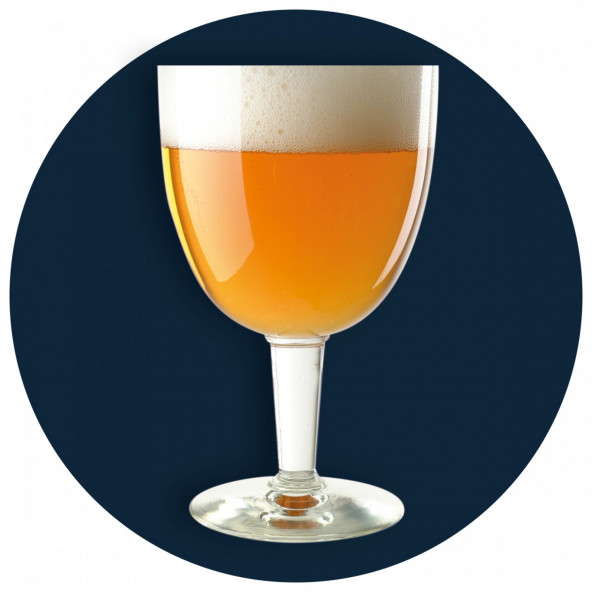Kingdom Brew Kit - Tripel 4