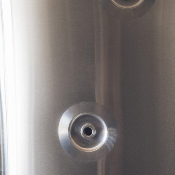 Ss Brewtech™ Pro Jacketed Unitank 5 bbl 12