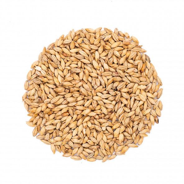 Castle Malting Pale Ale Malz 7-10 EBC 25 kg 1