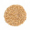 Castle Malting Pale Ale Malz 7-10 EBC 25 kg 1