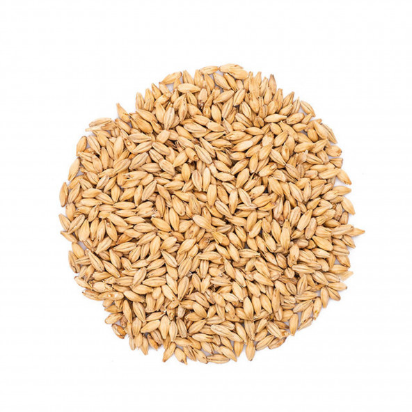 Castle Malting Pilsner Malz 3-3,5 EBC 1 kg 1