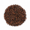 Castle Malting Chocolat Malz 900-1100 EBC 5 kg 1