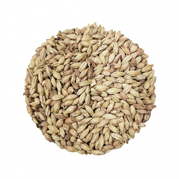 Castle Malting Abbey Malz 41- 49 EBC 5 kg 1