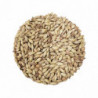 Castle Malting Abbey Malz 41- 49 EBC 5 kg 1
