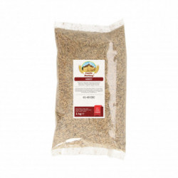 Castle Malting Abbey Malz 41- 49 EBC 1 kg