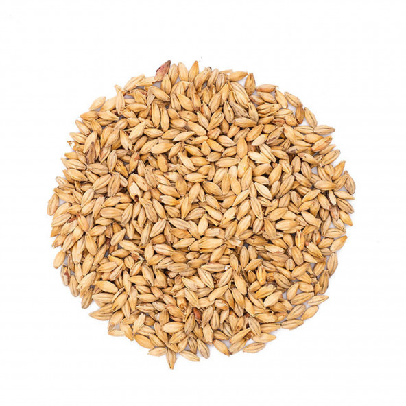 Castle Malting Munich Hell Malz 13 - 17 EBC 5 kg 1