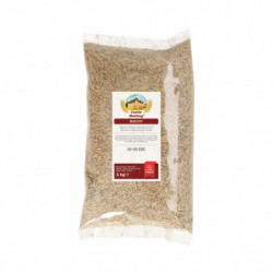 Castle Malting Biscuit Malz 45 - 55 EBC 1 kg