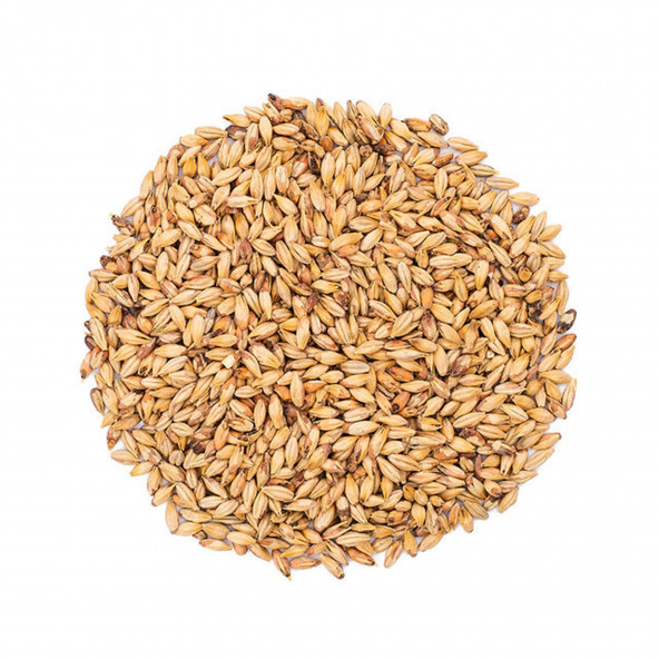 Castle Malting Biscuit Malz 45 - 55 EBC 1 kg 1