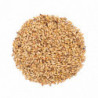 Castle Malting Biscuit Malz 45 - 55 EBC 1 kg 1