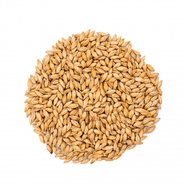 Castle Malting Malz Peated 3,5 EBC 5 kg 1