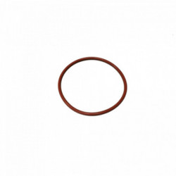 Ersatz O-ring für RipTide™ Pumpe