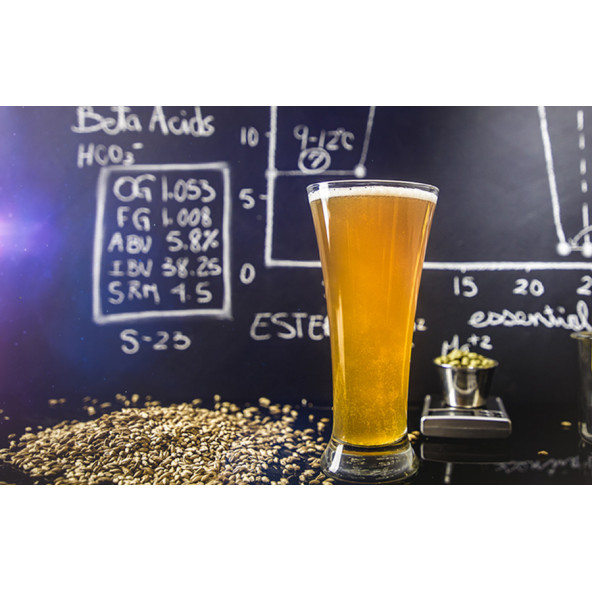 Workshop Bier brouwen voor gevorderden - Theorie