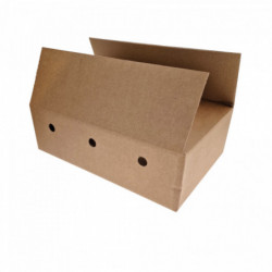 Karton für 24 33-cl-Dosen - 30 St.