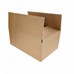 Karton für 24 50-cl-Dosen - 25 St.
