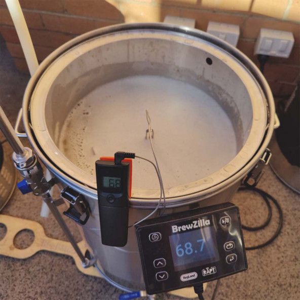 RAPT Bluetooth Thermometer -20 °C bis +300 °C 4