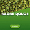 Hopfenpellets Barbe Rouge 1 kg 0