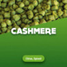 Hopfenpellets Cashmere - 1 kg 0