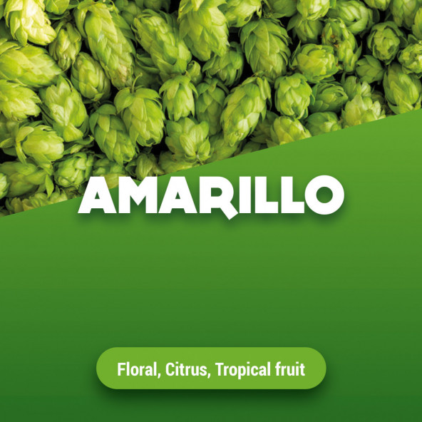 Rohhopfen Amarillo 100 g