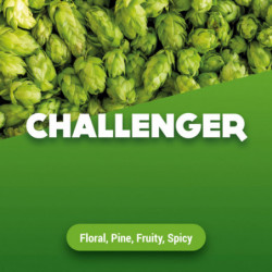 Rohhopfen Challenger 1 kg