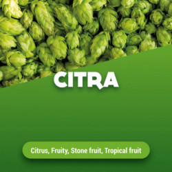 Rohhopfen Citra 5 kg