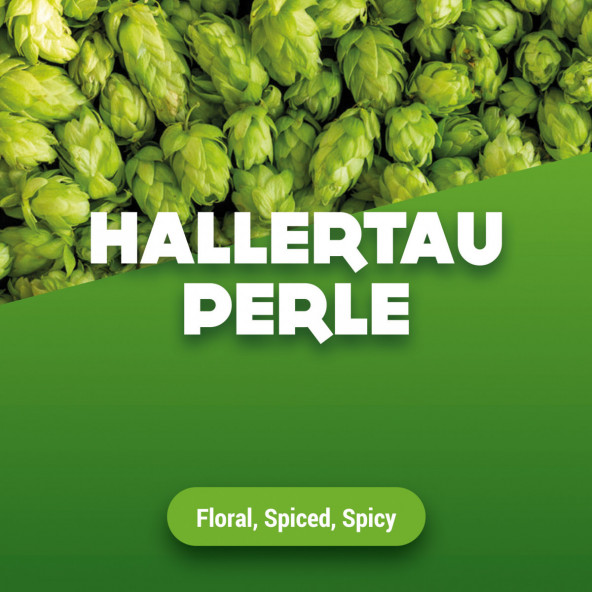 Rohhopfen Hallertau Perle 100 g