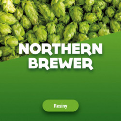 Rohhopfen Northern Brewer 100 g