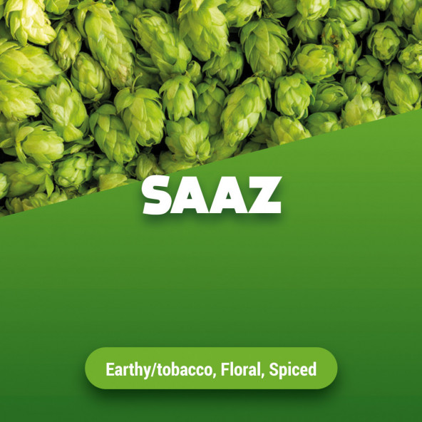 Rohhopfen Saaz 100 g