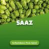 Rohhopfen Saaz 1 kg 0