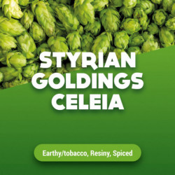 Rohhopfen Styrian Goldings Celeia 5 kg