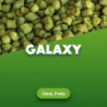 Hopfenpellets Galaxy - 1 kg 0