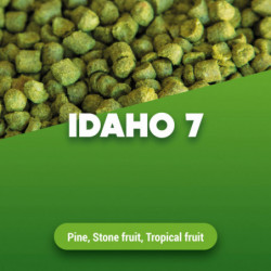 Hopfenpellets Idaho 7® 100 g