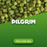 Hopfenpellets Pilgrim - 100 g 0