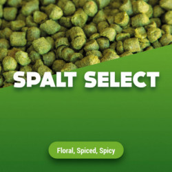 Hopfenpellets Spalt Select 5 kg