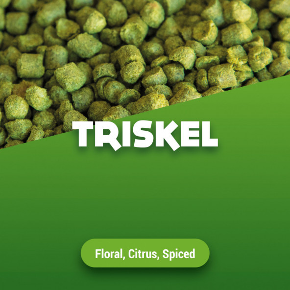 Hopfenpellets Triskel 1 kg