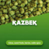 Hopfenpellets Kazbek 100 g 0