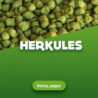 Hopfenpellets Herkules 5 kg 0
