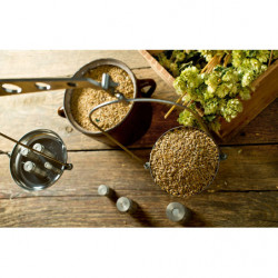 Workshop Creëer je eigen bierrecept